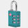 tsa accepted luggage lock
