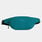 coastal rfid blocking waist pack